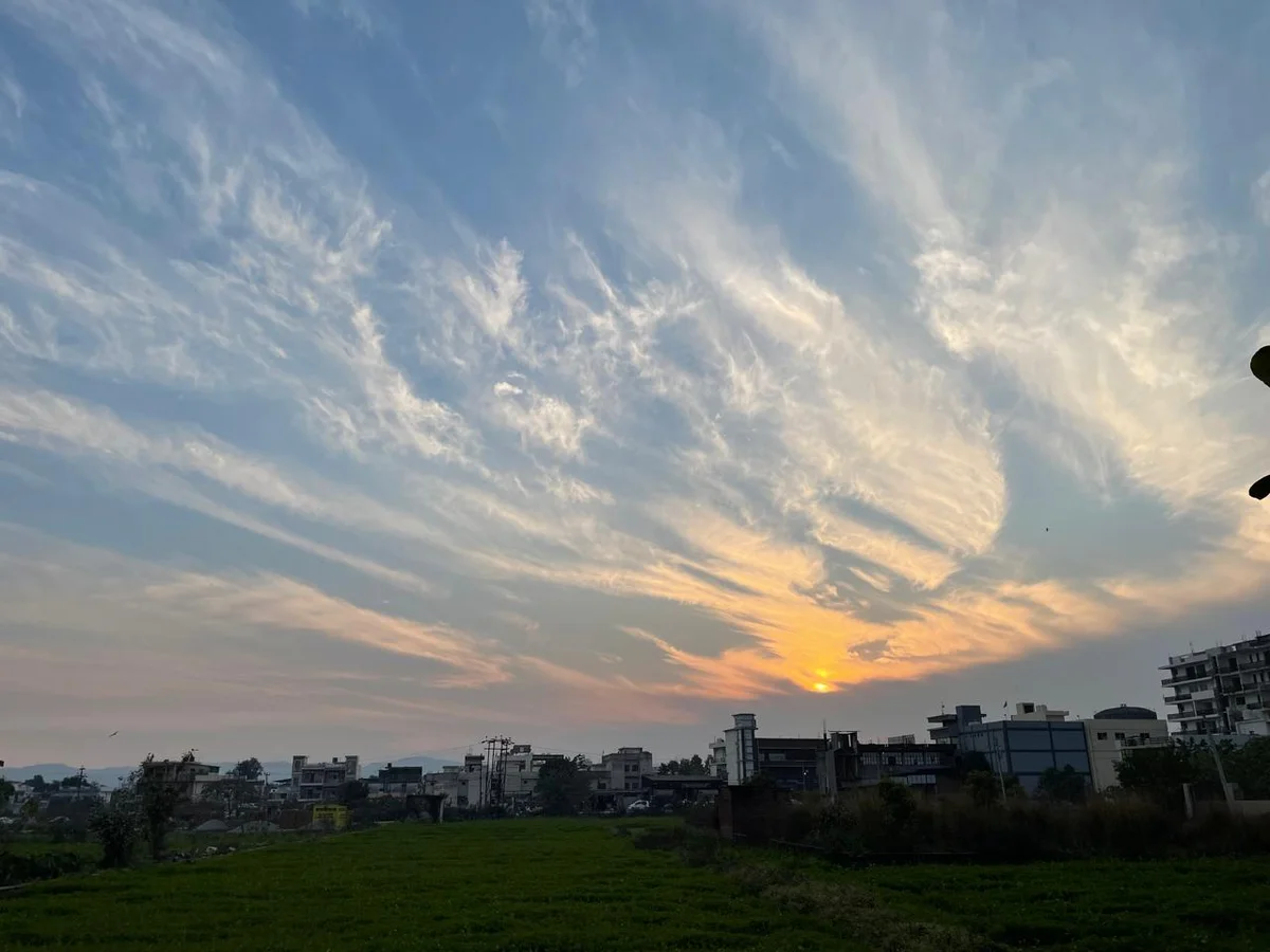 Mashobra