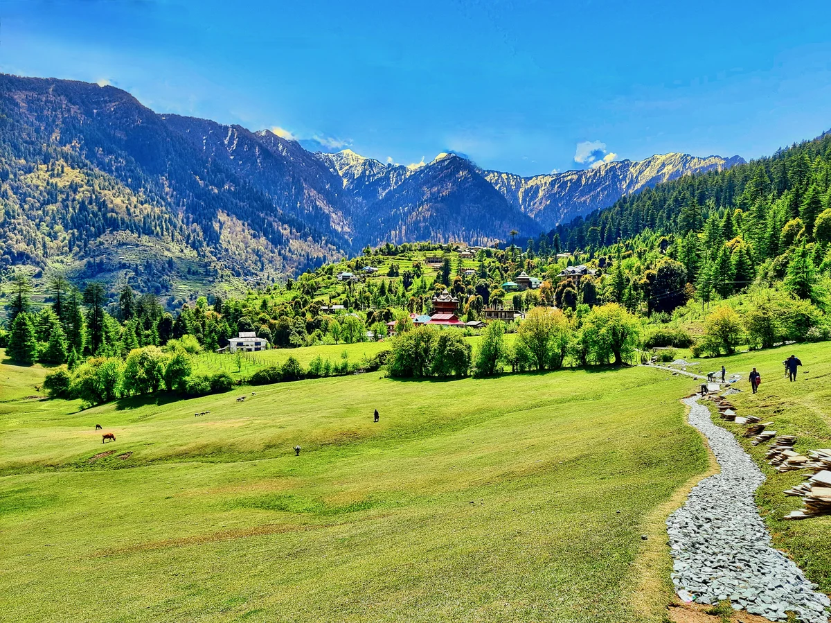 Tirthan & Shangarh Walk alpine meadows