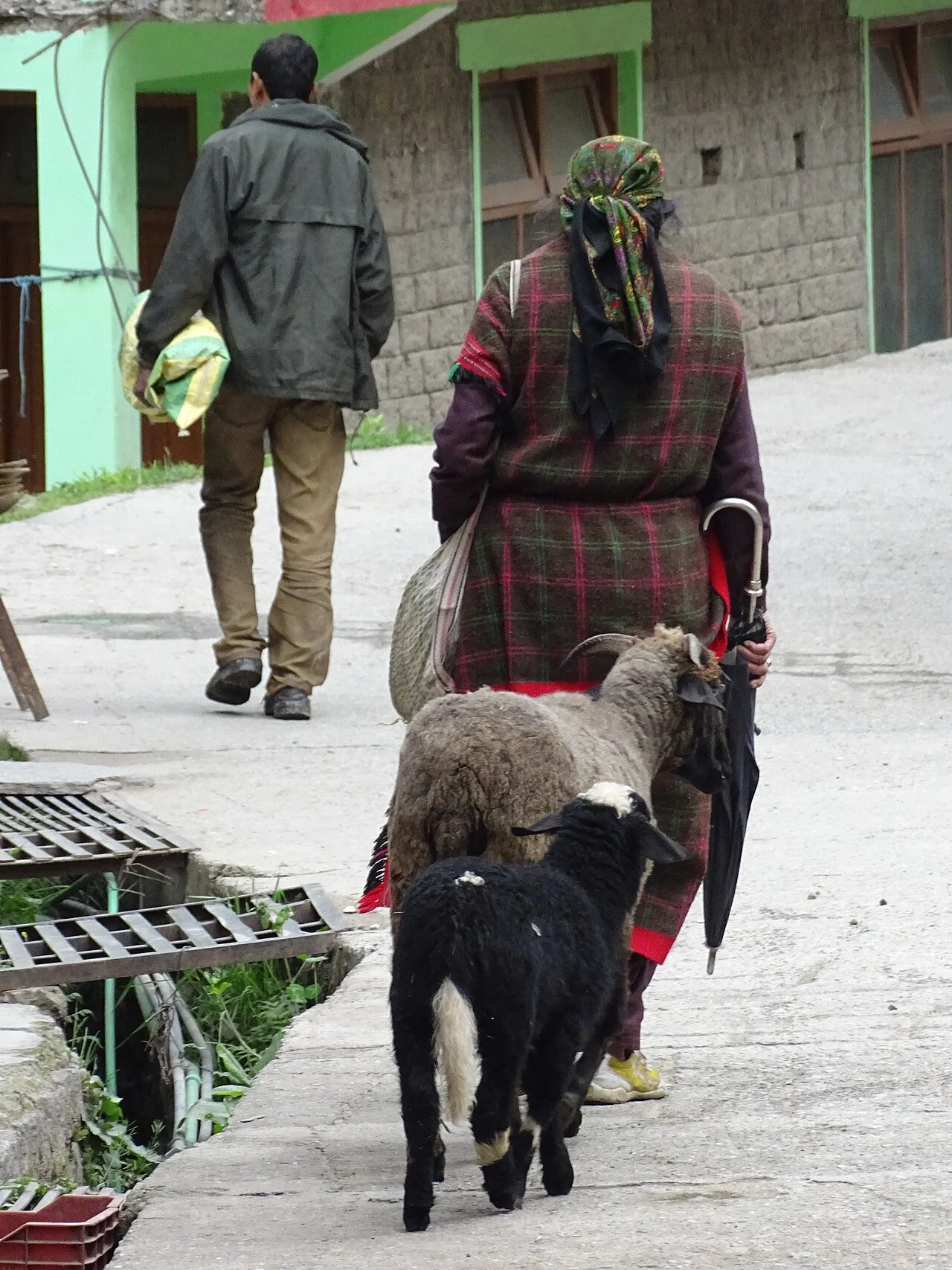 Traditional stone village houses and mountain trails of Old Manali
