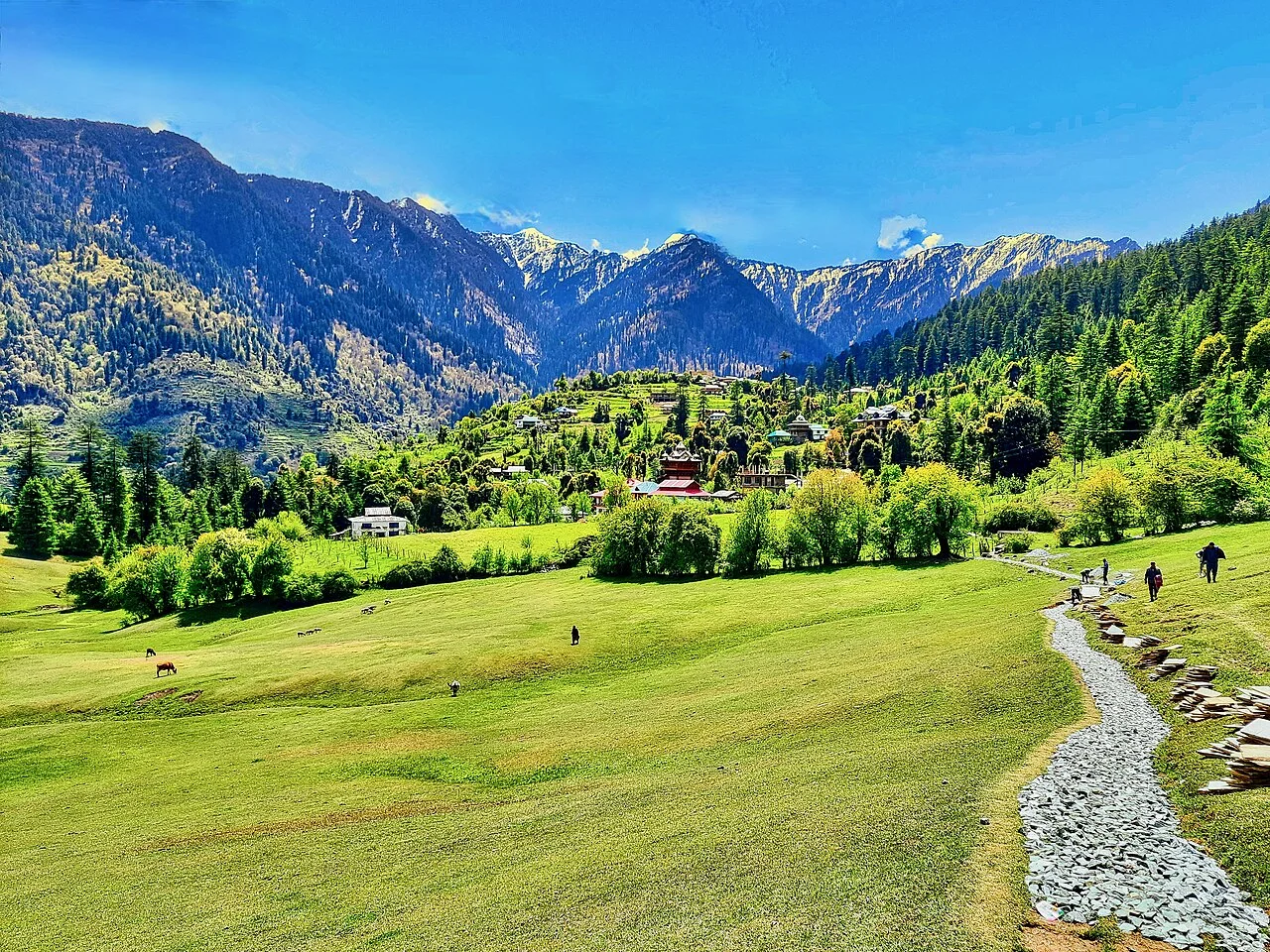 Lush rolling green meadows of Shangarh nestled in high peaks